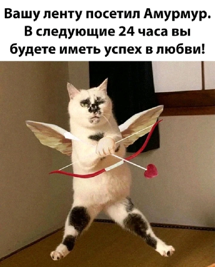 Фото загрузил ANITRA