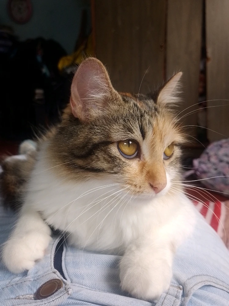 Imagen subida por Kenay