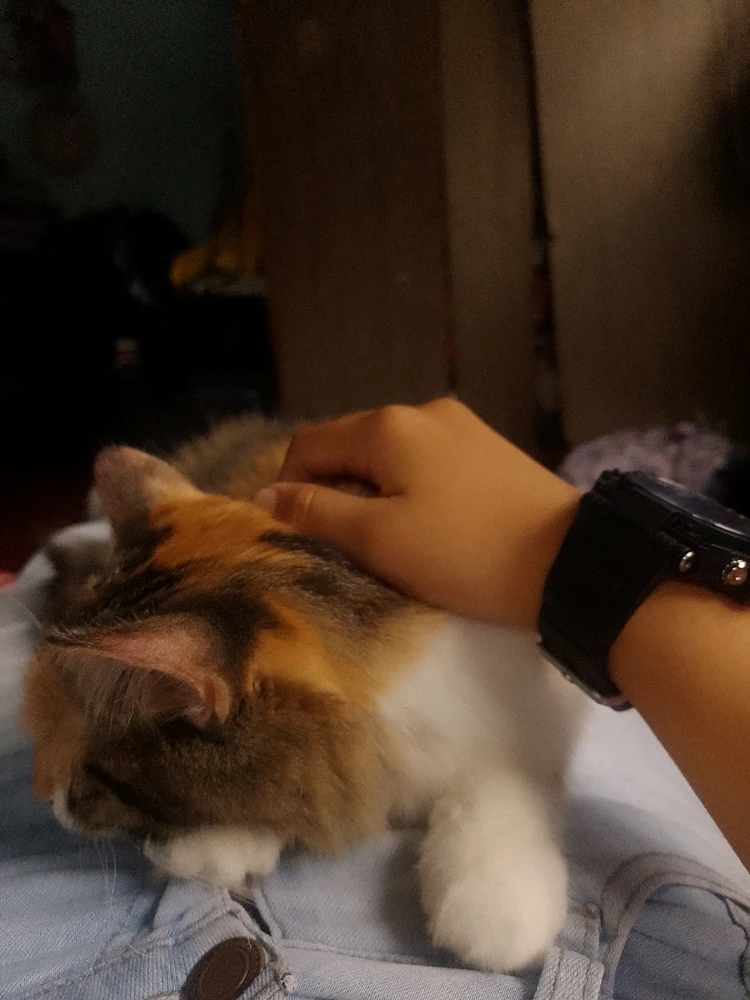 Imagen subida por Kenay