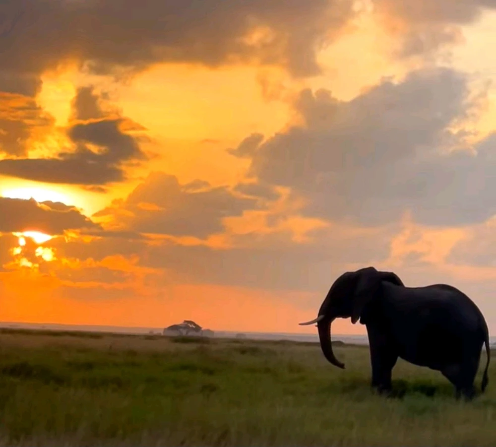 GIF uploaded by Amara