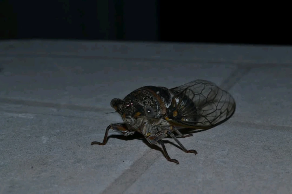 GIF ajouté par Rick