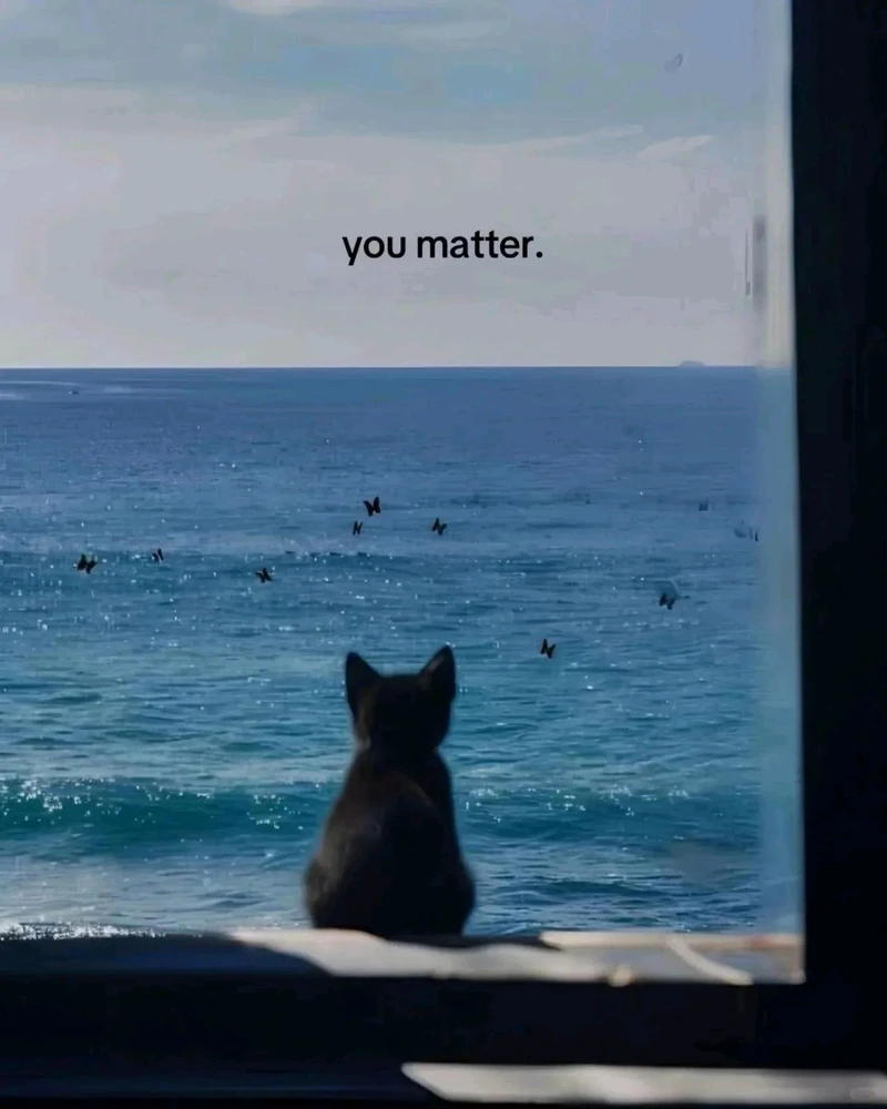 Image uploaded by Liza