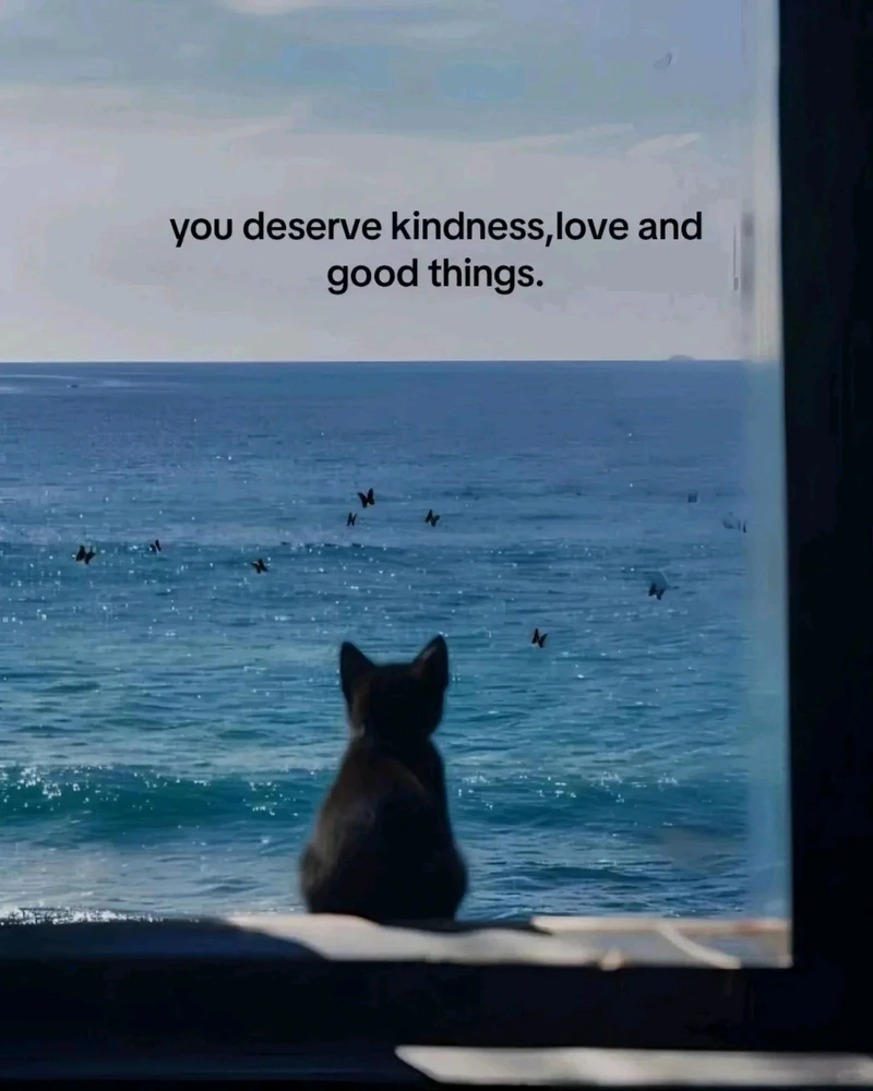 Image uploaded by Liza