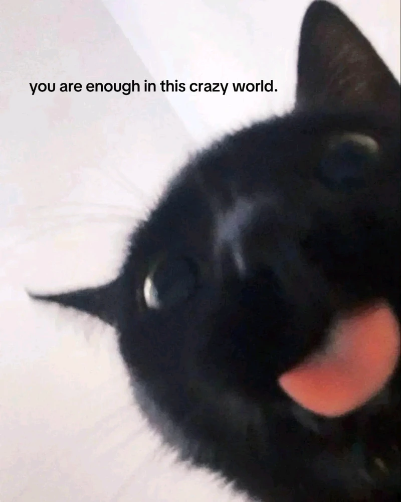 Image uploaded by Liza