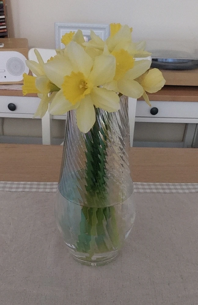 GIF uploaded by Francesca