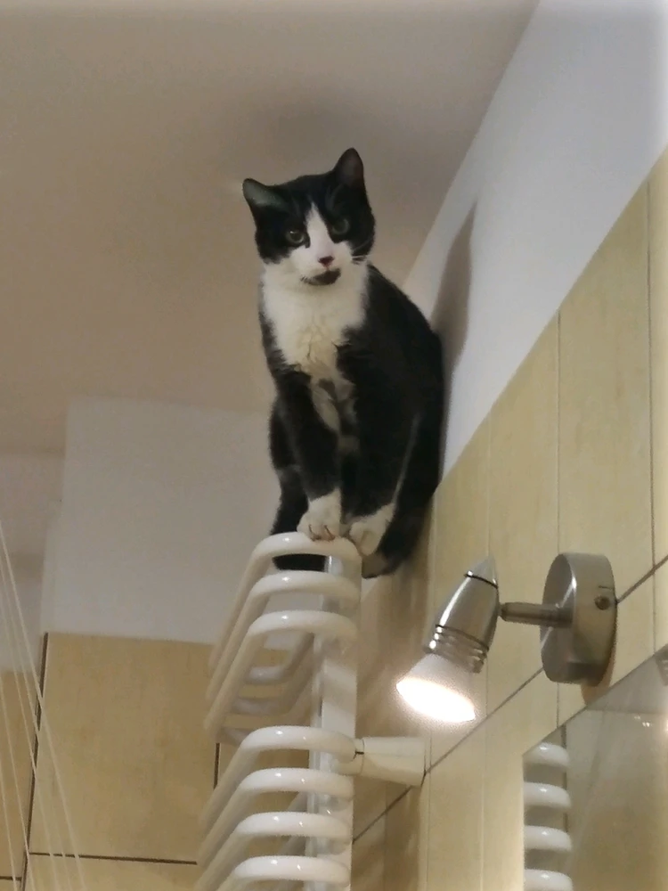 GIF dodany przez Daria