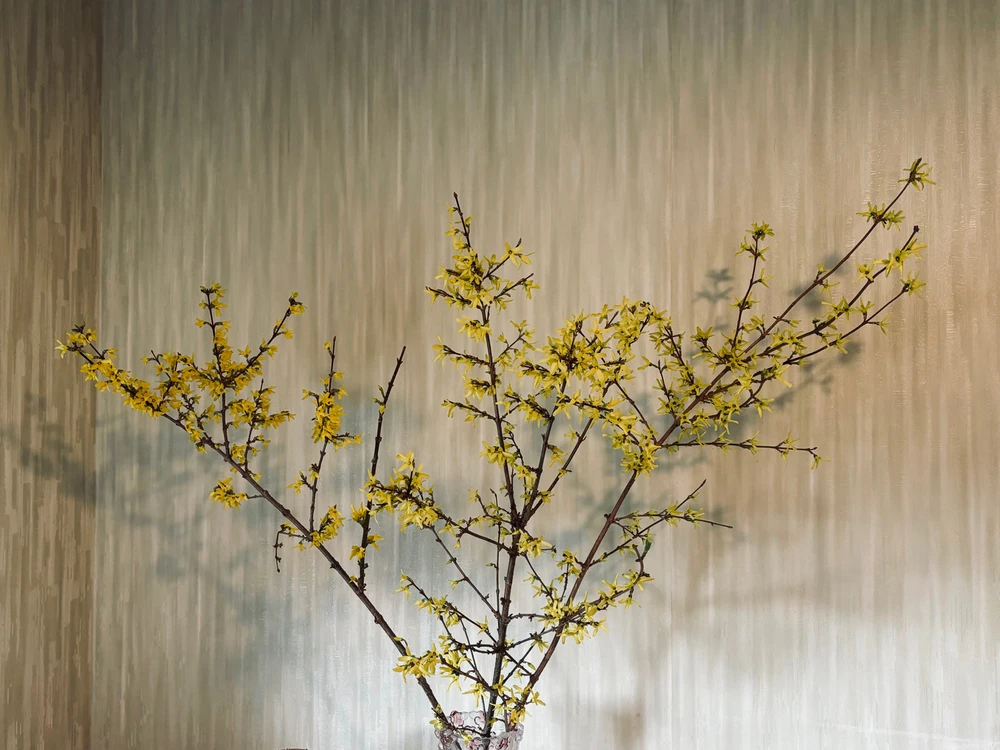 GIF загрузил Casablanca