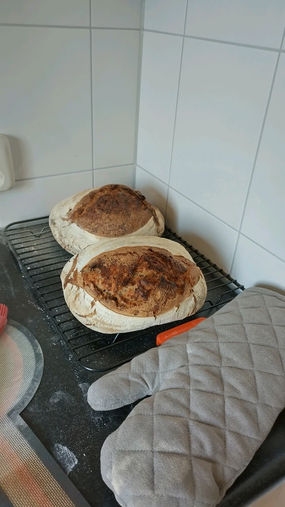 Image uploaded by Erik