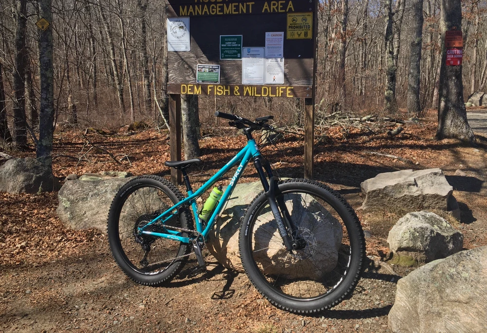 Image uploaded by Mo