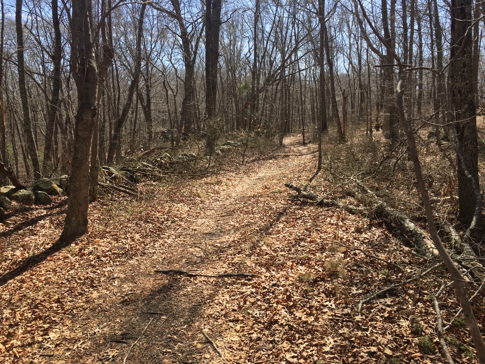 Image uploaded by Mo