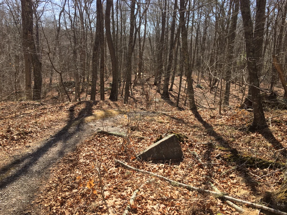 Image uploaded by Mo