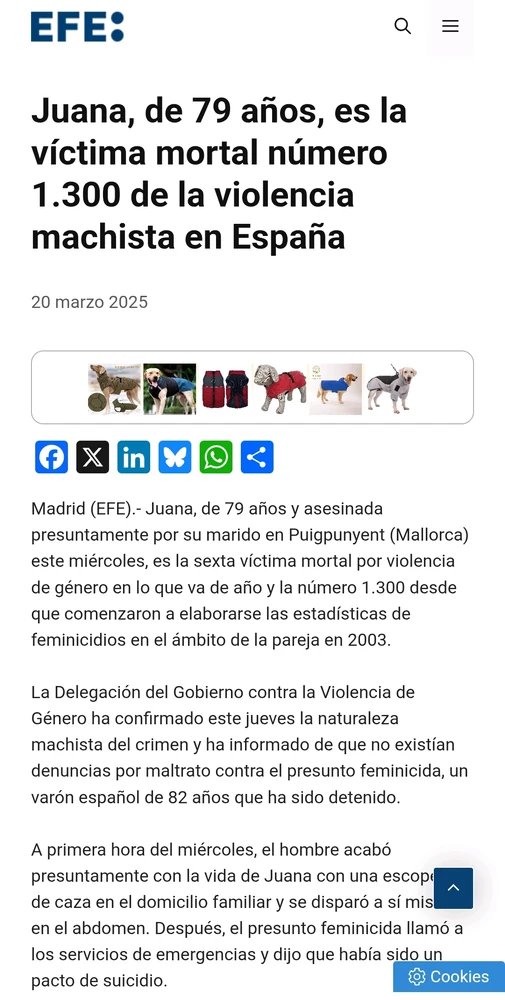 Casados, padres, abuelos, trabajadores, jubilados, alcohólicos, cazadores, fachas, puteros, narcisistas, misóginos, hombres de bien...