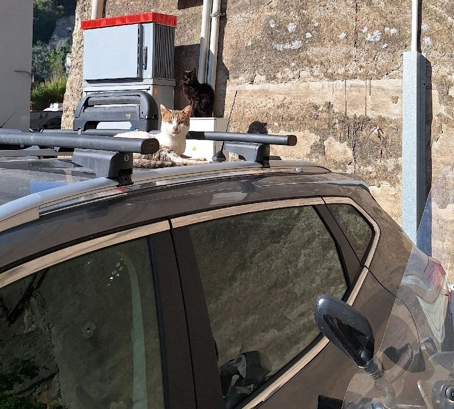 GIF caricata da Andrea