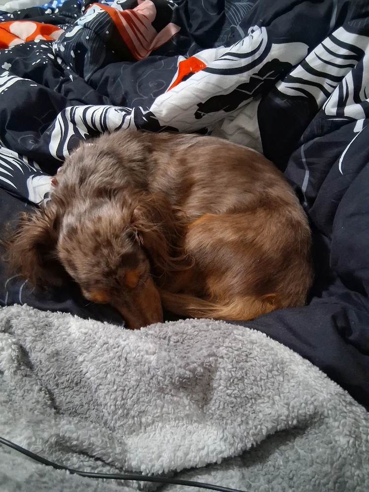 Image uploaded by Melissa