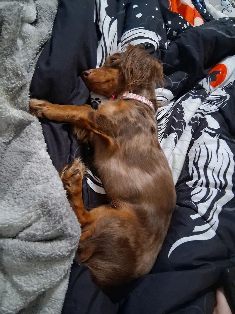 Image uploaded by Melissa