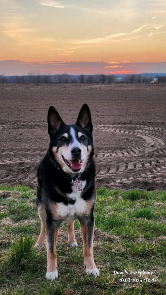 Bild hochgeladen von Devil