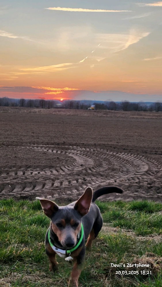 Bild hochgeladen von Devil