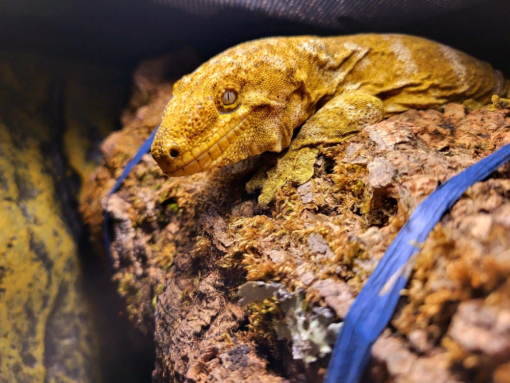 Bild hochgeladen von Hagalaz