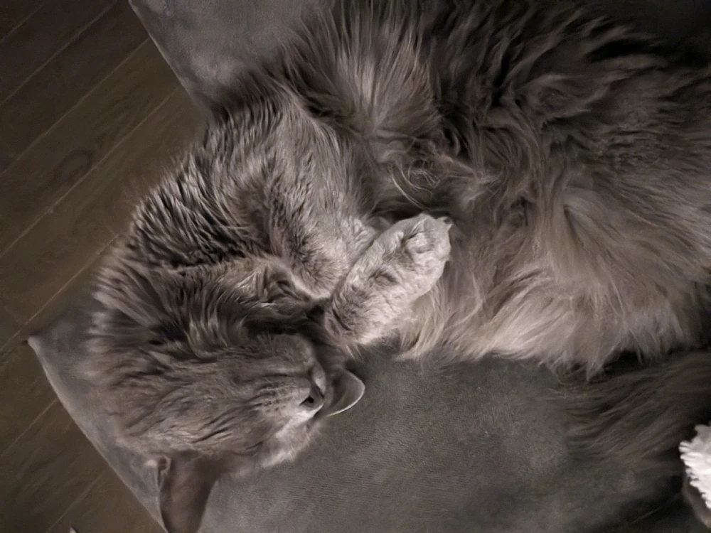 Image uploaded by Briann