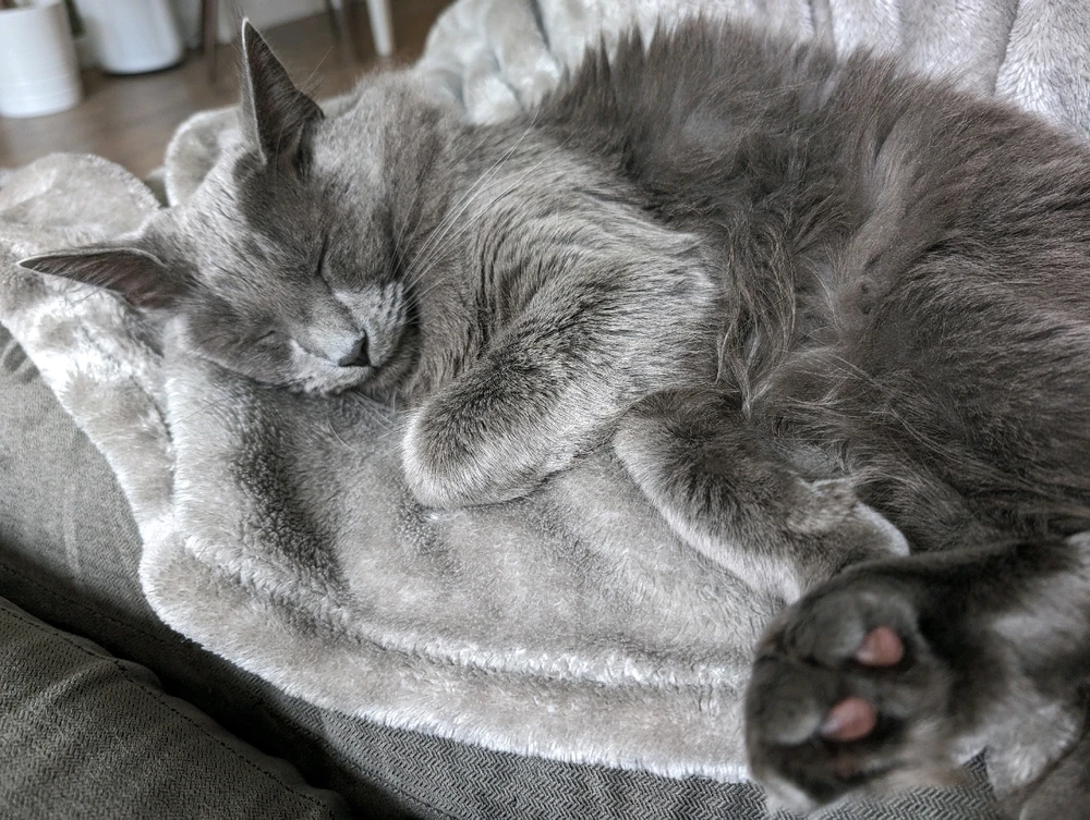 Image uploaded by Briann