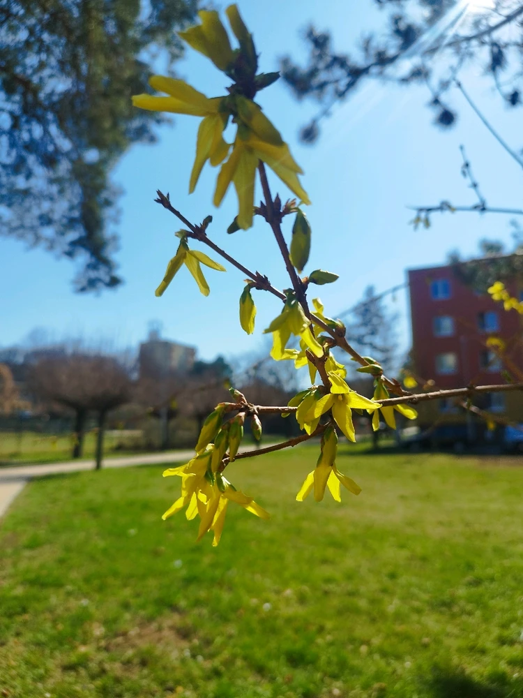 Obrázek nahrál Rob
