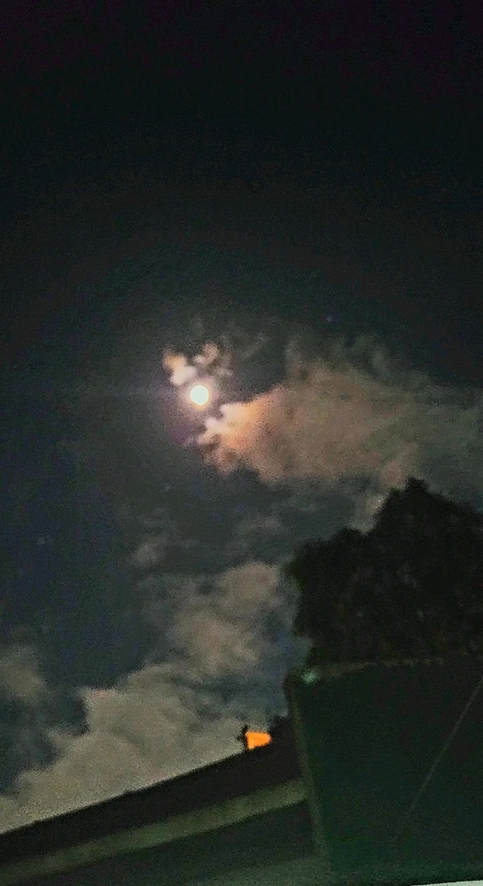 Image uploaded by Brat Virgo ♍️