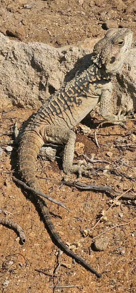 GIF uploaded by Konstantinos