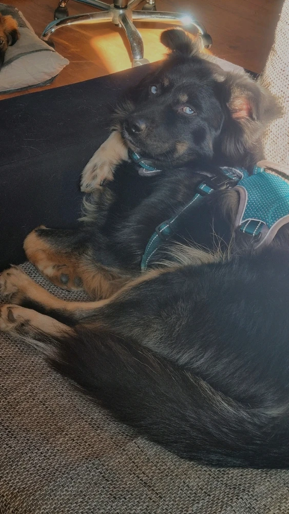 Bild hochgeladen von Jana