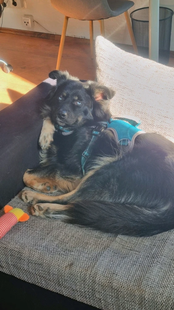 Bild hochgeladen von Jana