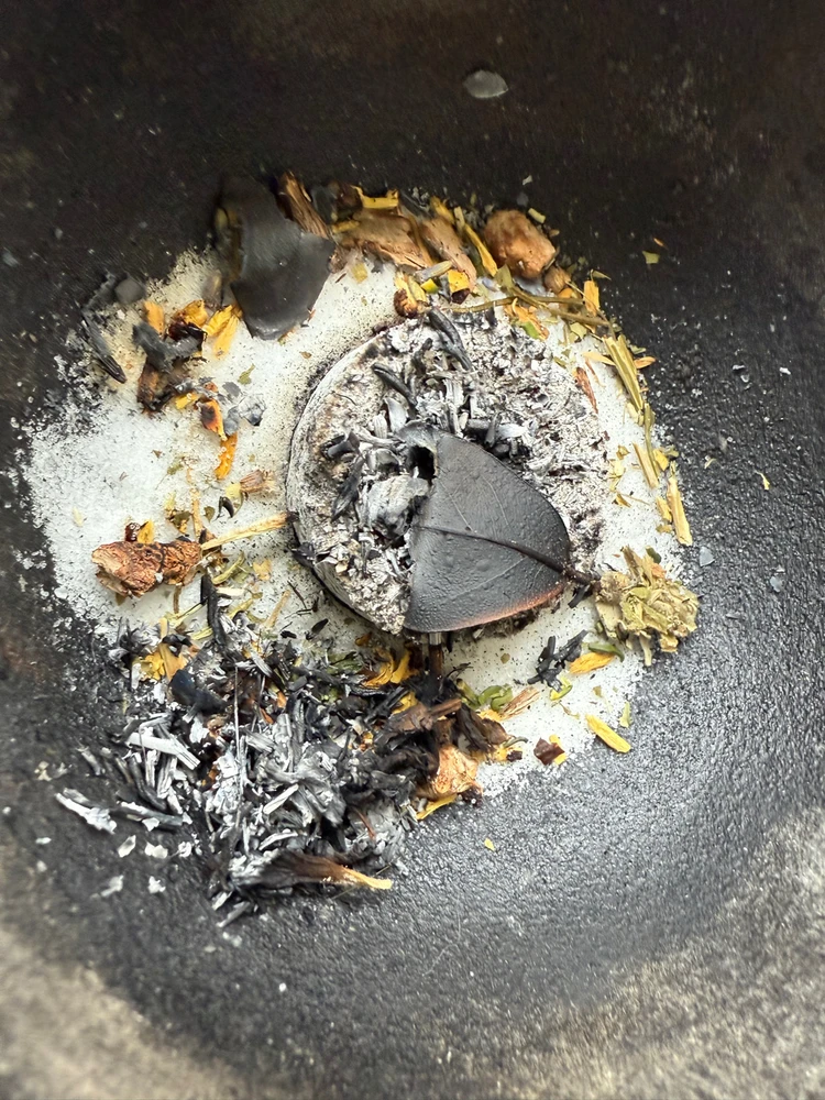 GIF uploaded by Tealia