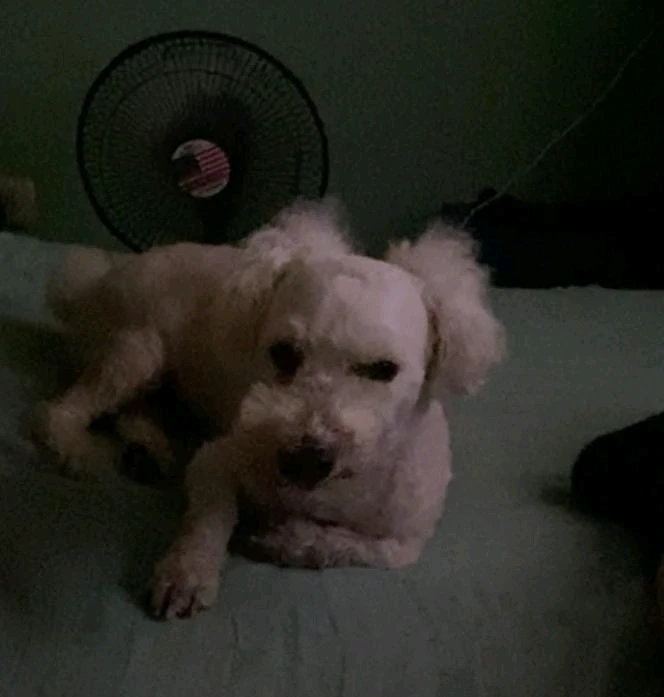 When: vez a tu compa con una menor