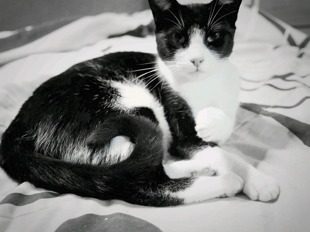 GIF uploaded by James