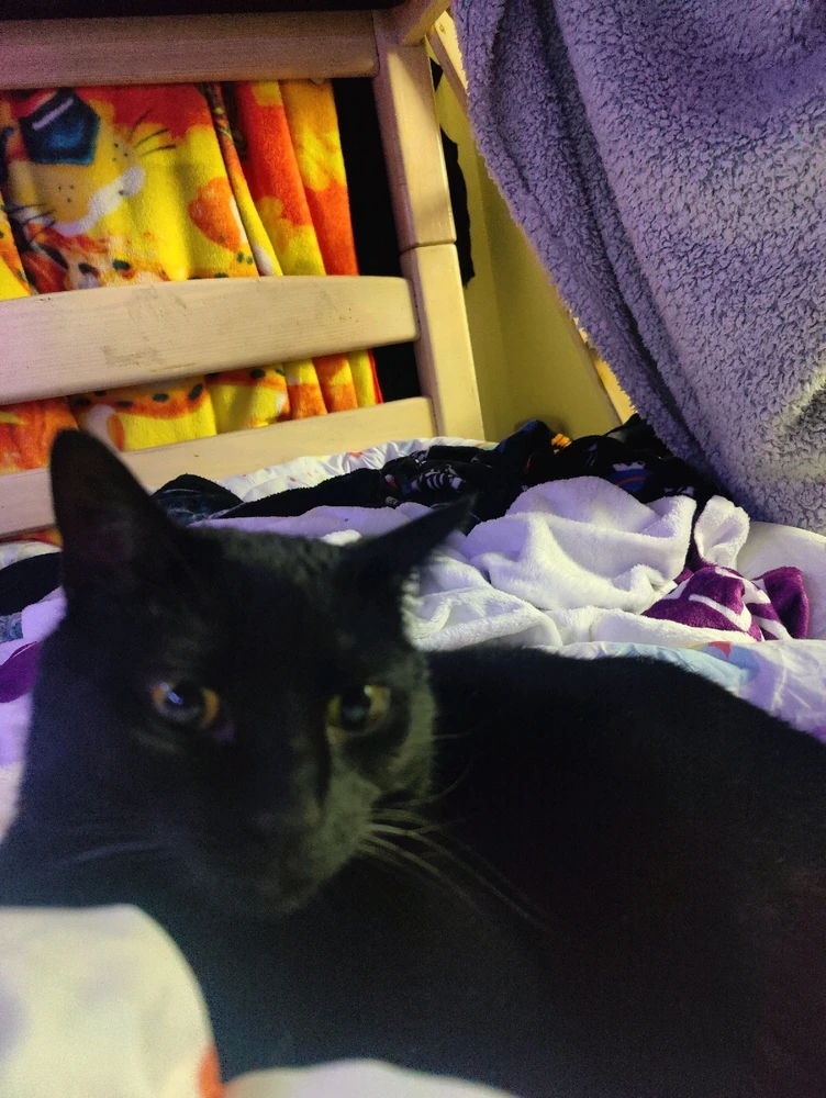 Image uploaded by Buffyhowe