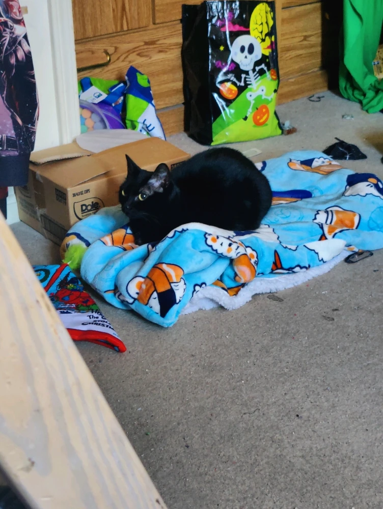 Image uploaded by Buffyhowe