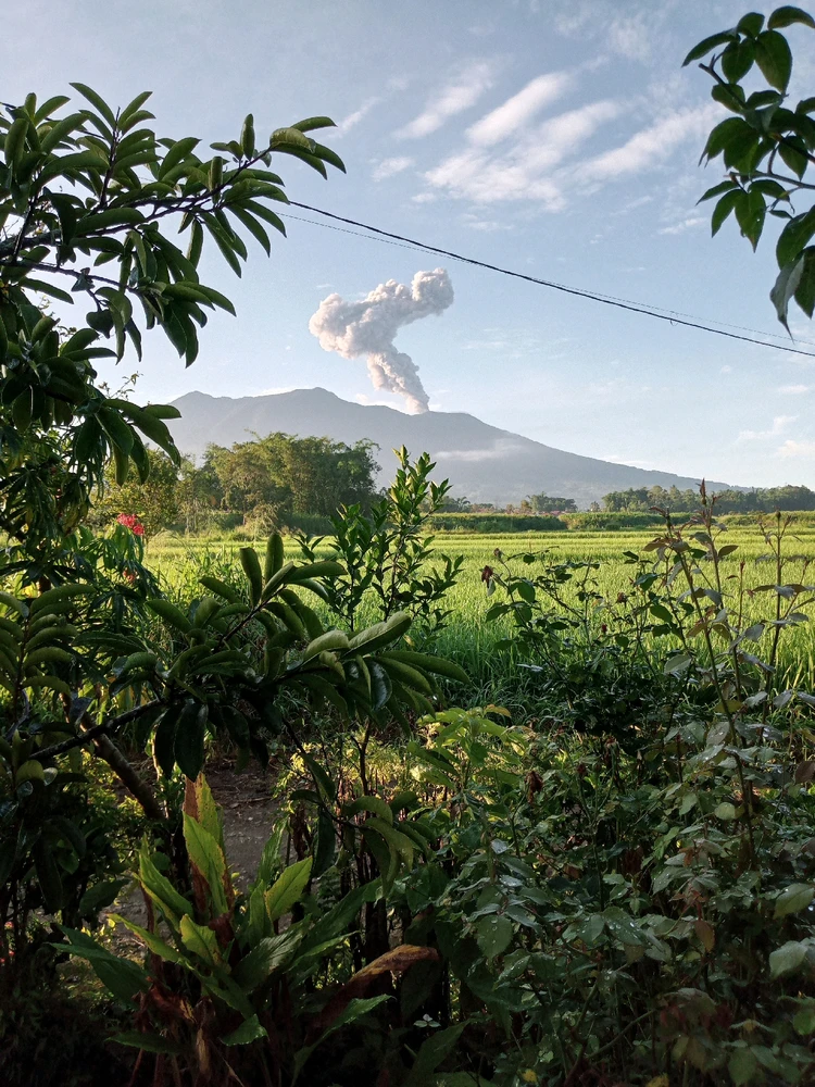 GIF diunggah oleh jen