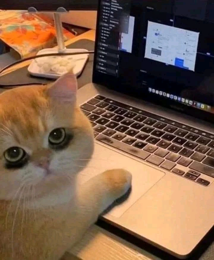 GIF subido por ꓄ђ