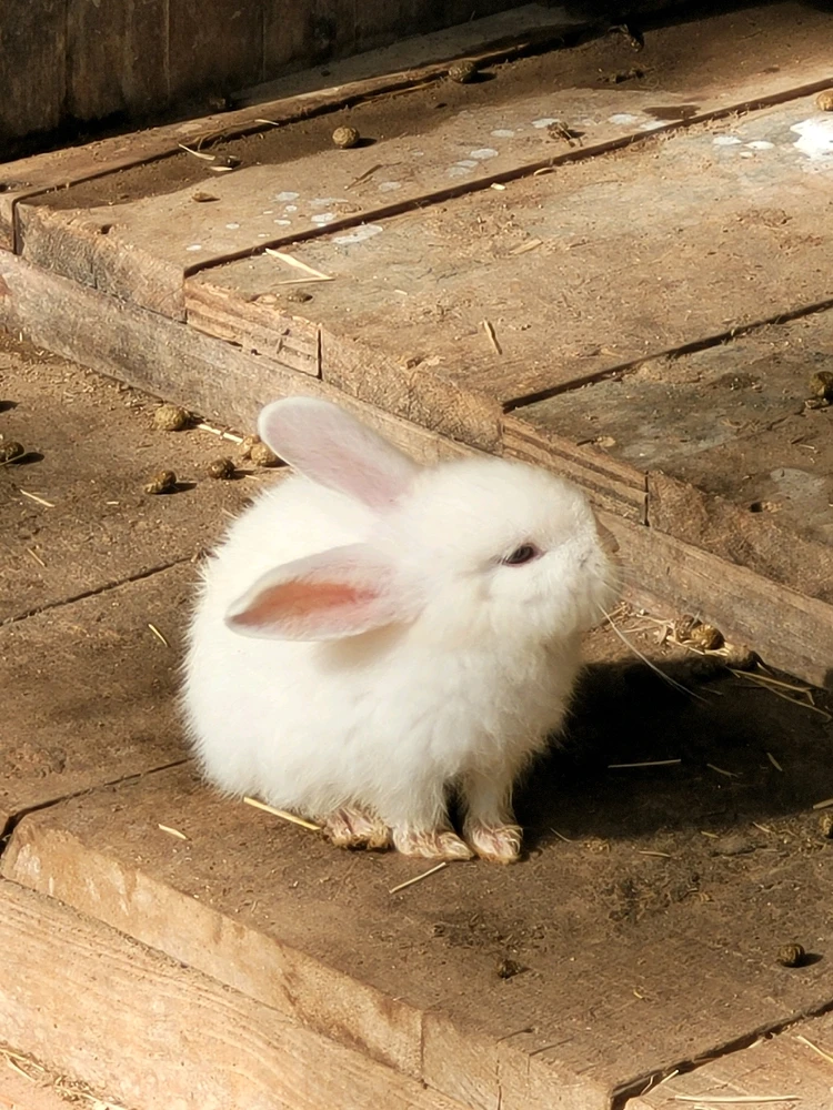 GIF hochgeladen von David