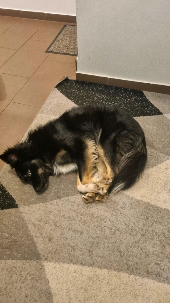 Bild hochgeladen von Jana