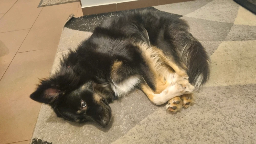 Bild hochgeladen von Jana