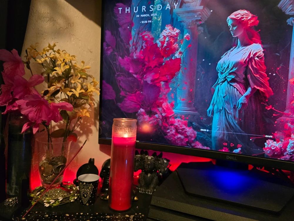 Image uploaded by Steve