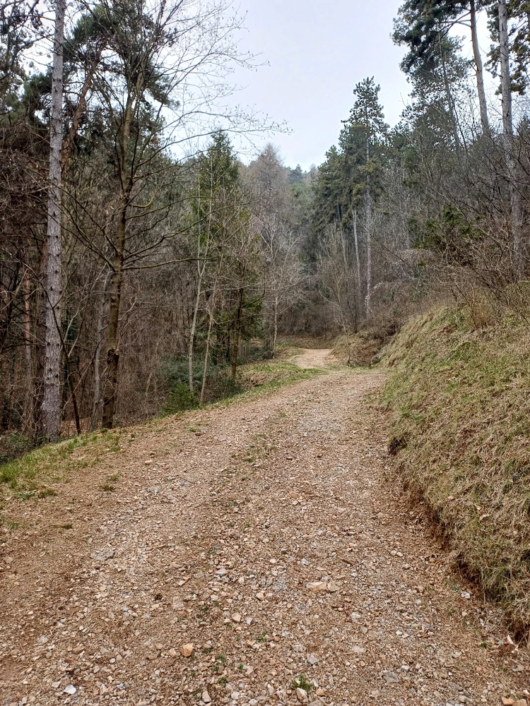 GIF caricata da Carlo Beccarelli