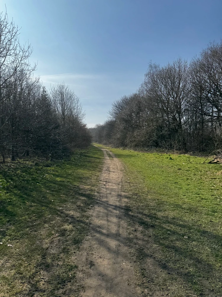 Image uploaded by Steffen