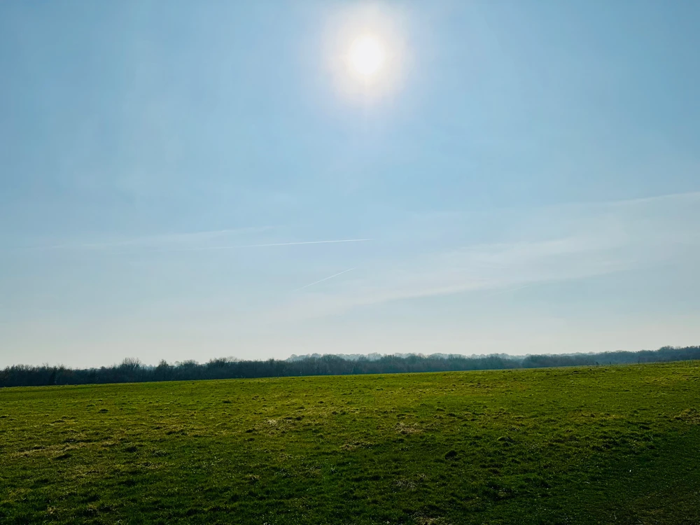 Image uploaded by Steffen