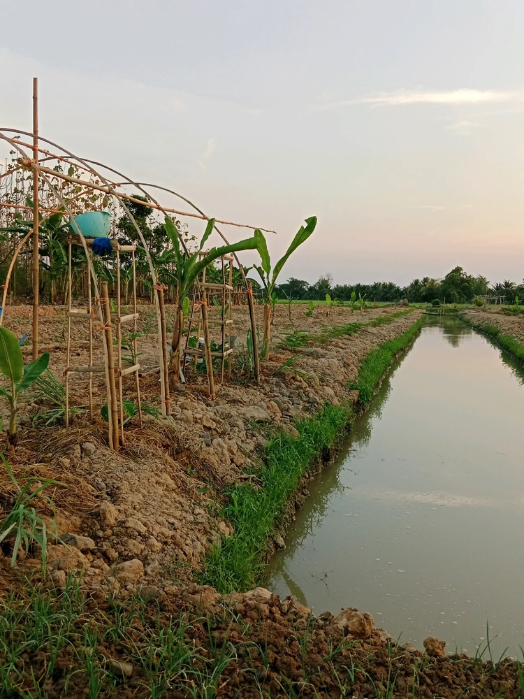 รูปที่อัพโหลดโดย Sunitta