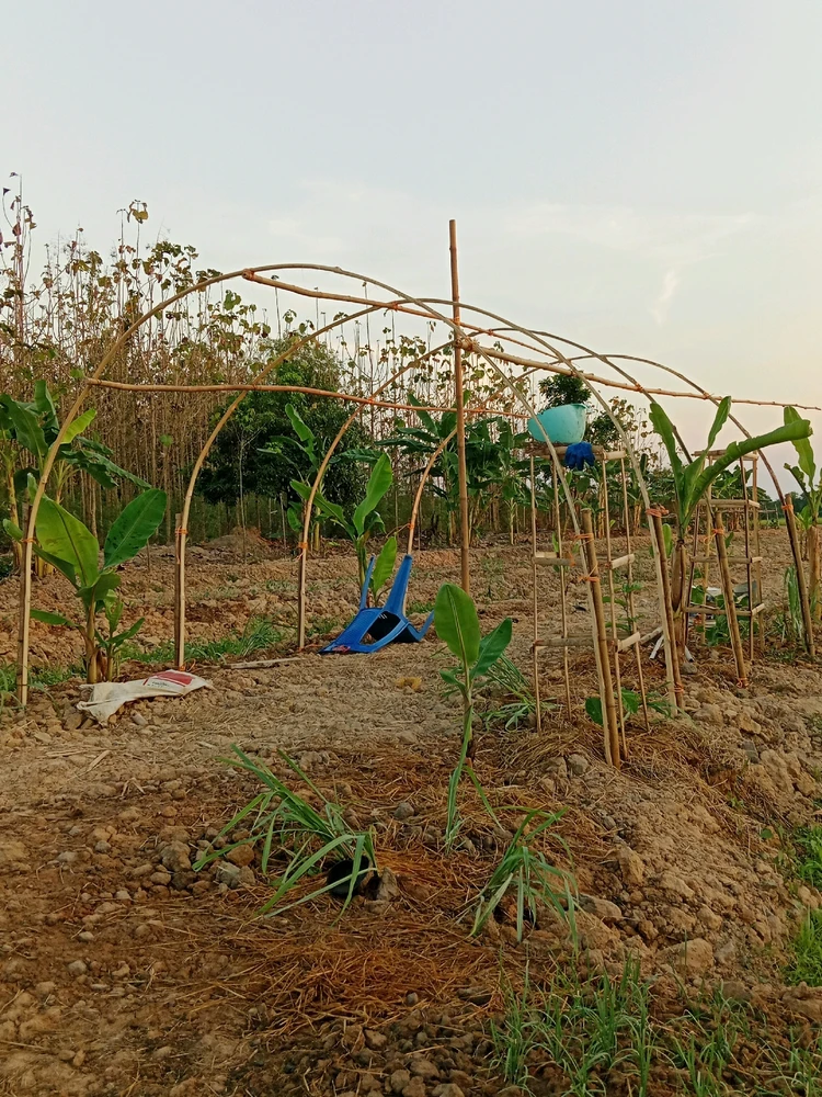 รูปที่อัพโหลดโดย Sunitta