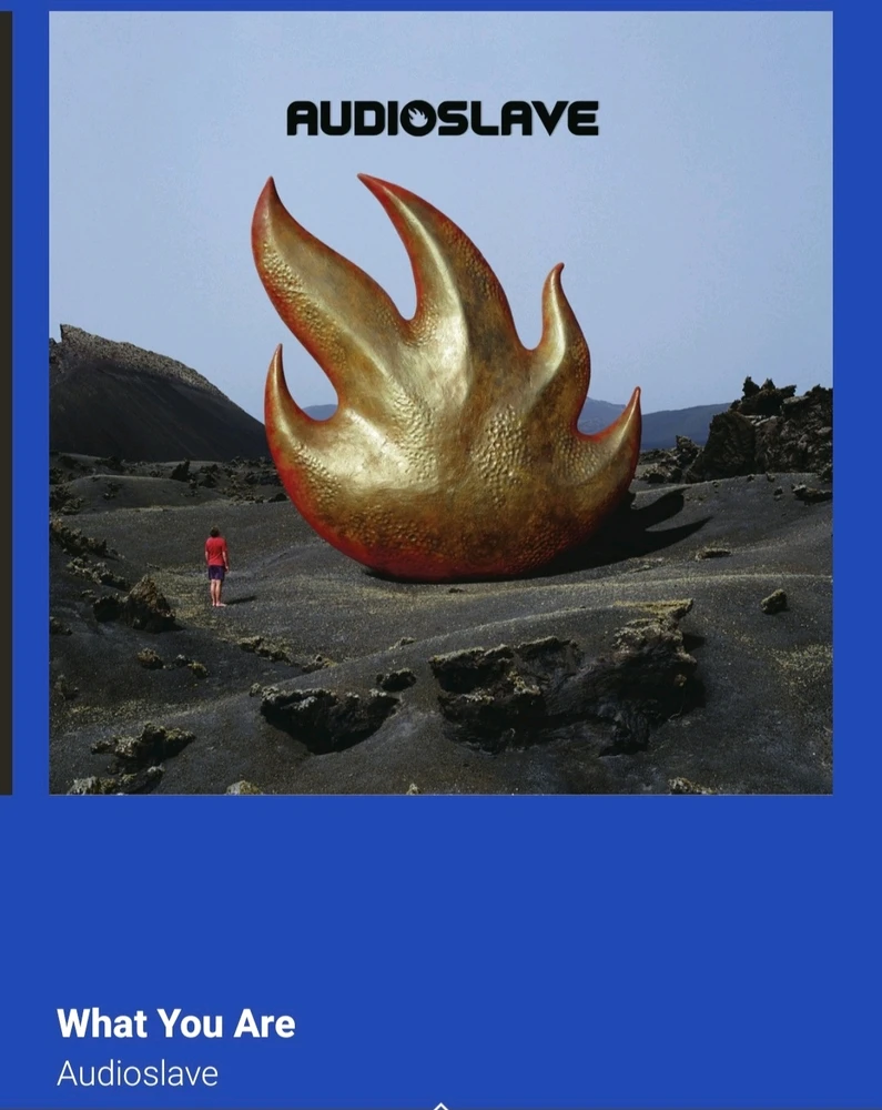 Audioslave - What You Are