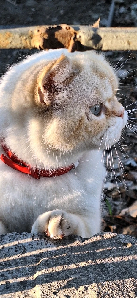 Зображення завантажив Юлія