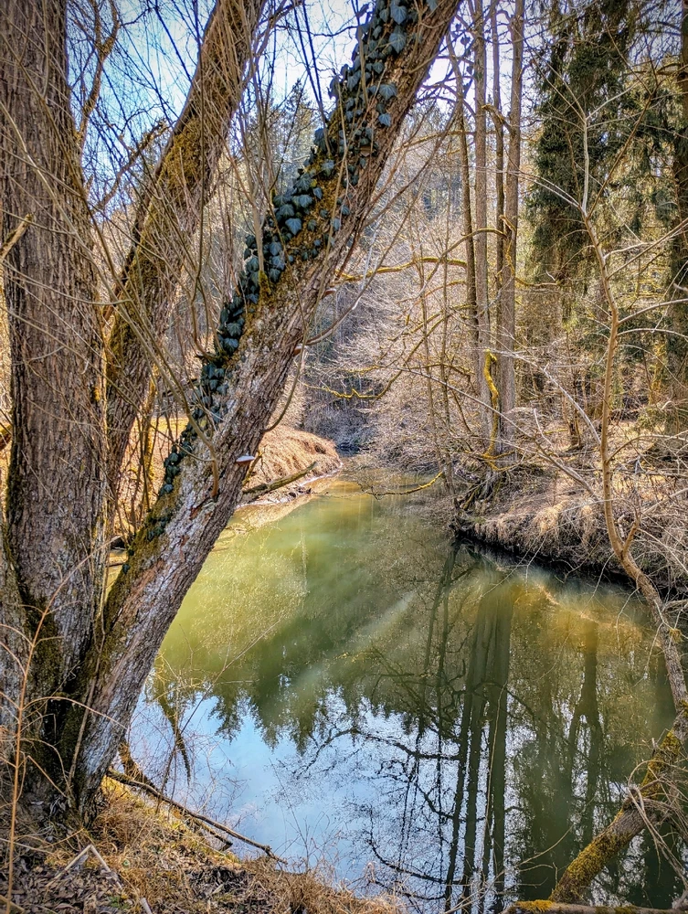 Zdjęcie dodane przez Agata J.