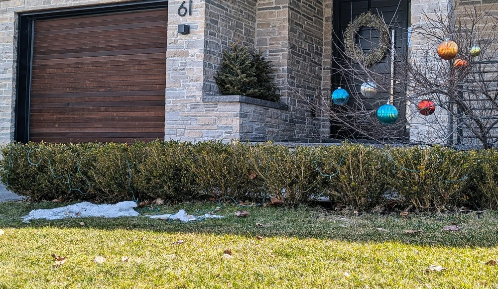 Гіфку завантажив Dana