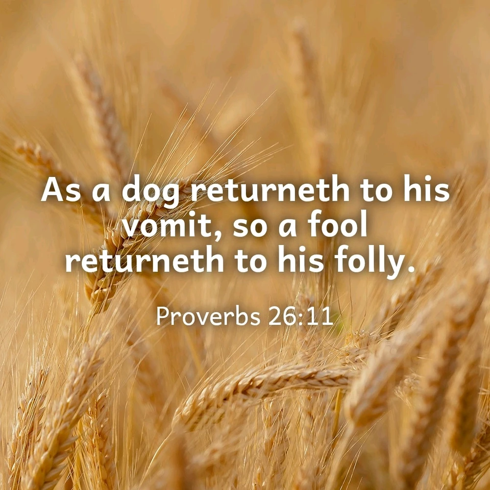 GIF uploaded by Larry